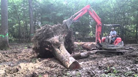 how to knock over big trees with a mini excavator|Knocking Down a Monster Tree with a Mini Excavator .